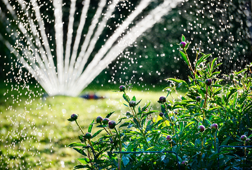 How to Choose The Best Irrigation System for Your Garden