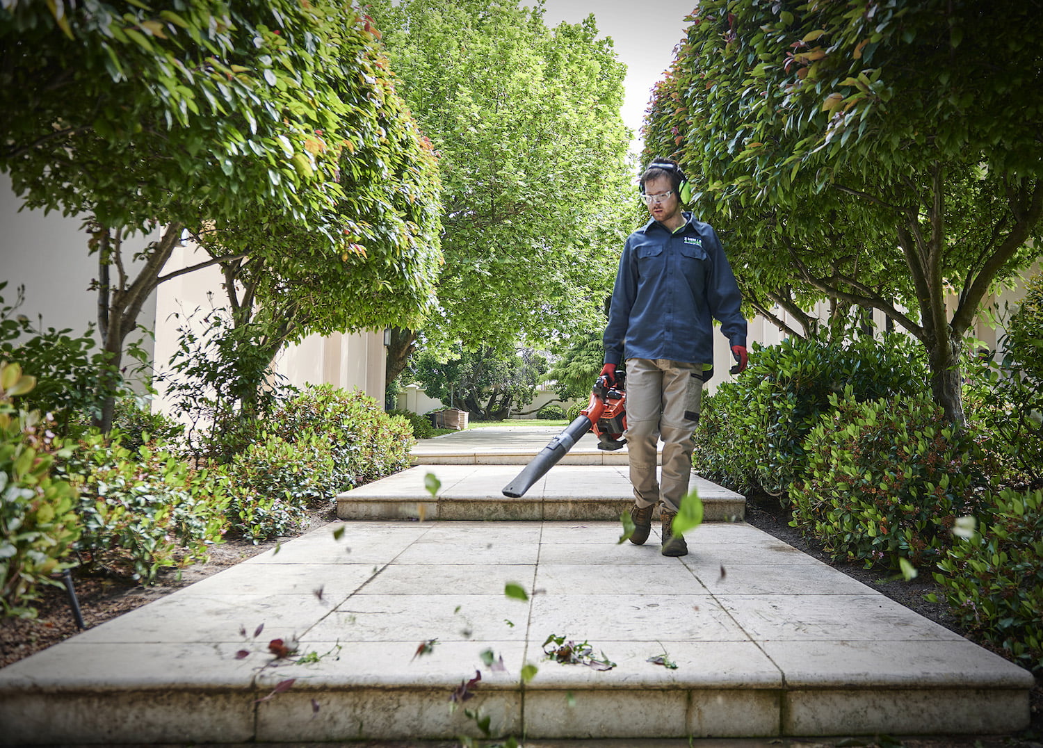 10 things to avoid when choosing a gardener