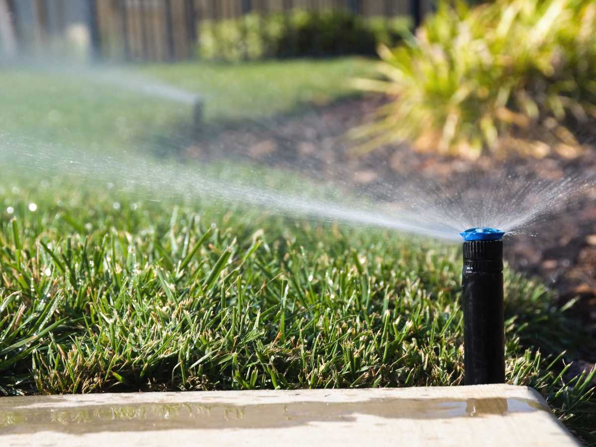 Best Practices for Watering Your Garden in Australia